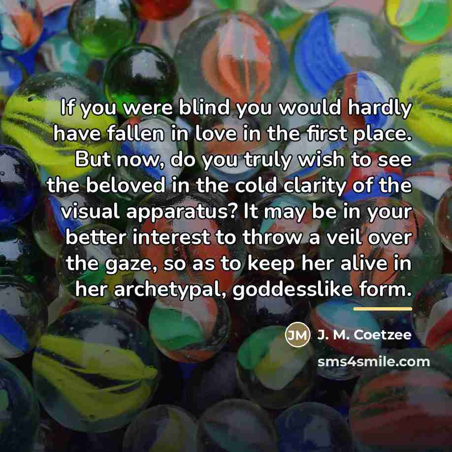 “If you were blind you would hardly have fallen in…” quote by J. M. Coetzee