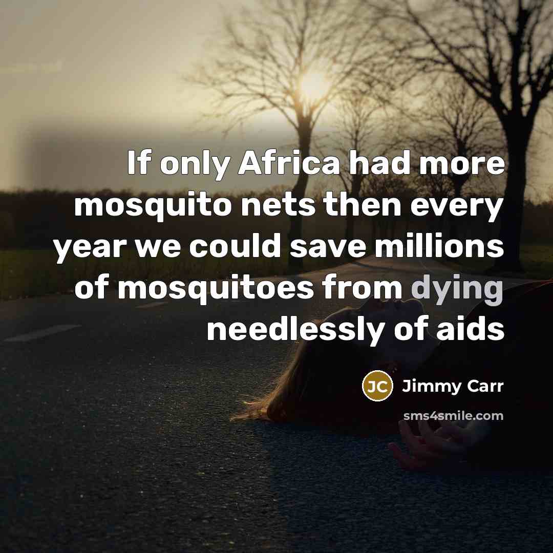 “If only Africa had more mosquito nets then every year…” quote by Jimmy Carr