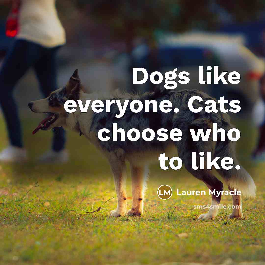 “Dogs like everyone. Cats choose who to like.…” quote by Lauren Myracle