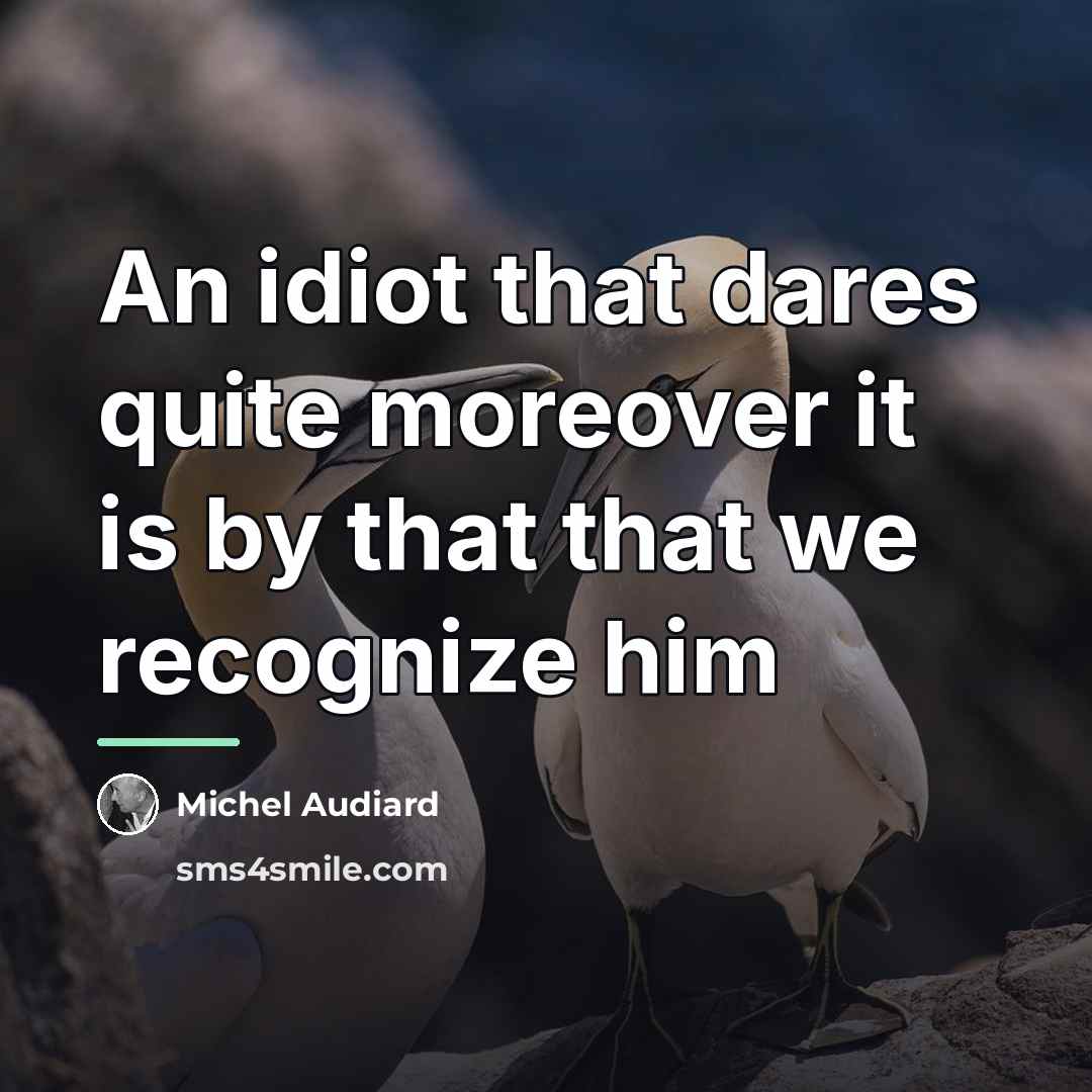 “An idiot that dares quite moreover it is by that…” quote by Anonymous