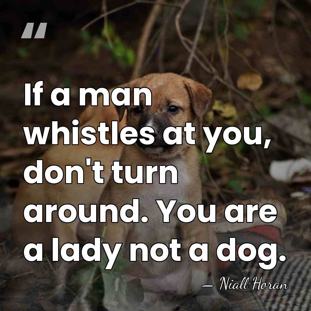 If a man whistles at you, don't turn around. You are a&hellip; - Niall Horan