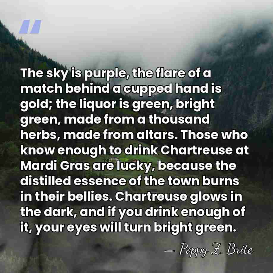 The sky is purple, the flare of a match behind a cupped&hellip; - Poppy Z. Brite