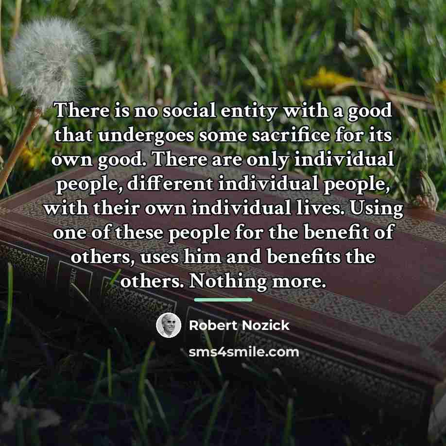 “There is no social entity with a good that undergoes…” quote by Robert Nozick