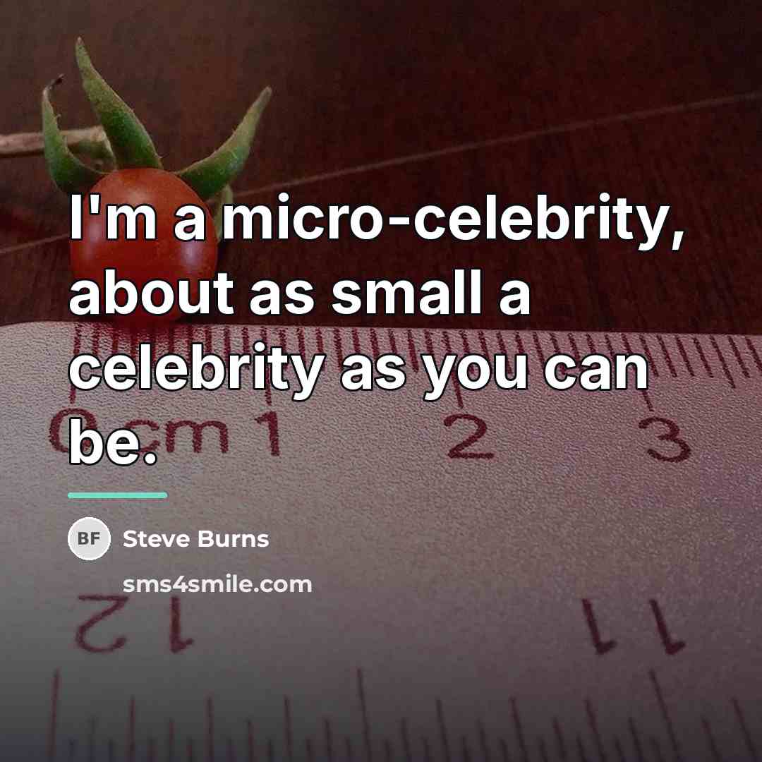 “I'm a micro-celebrity, about as small a celebrity as you…” quote by Steve Burns