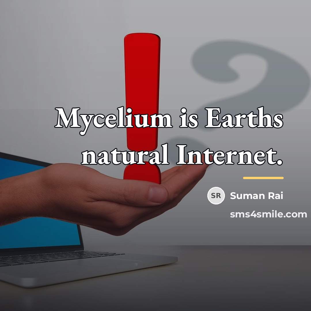 “Mycelium is Earths natural Internet.…” quote by Suman Rai