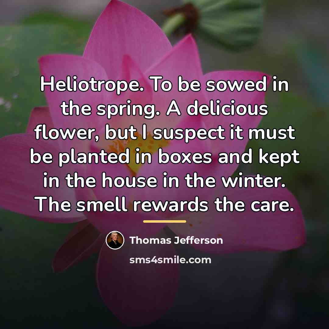 “Heliotrope. To be sowed in the spring. A delicious flower,…” quote by Thomas Jefferson
