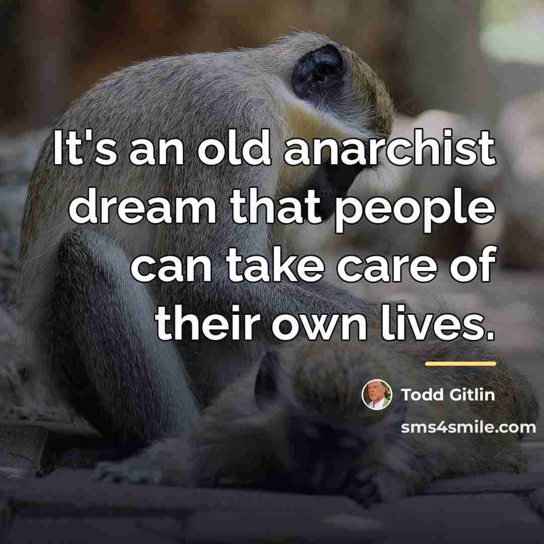 “It's an old anarchist dream that people can take care…” quote by Todd Gitlin