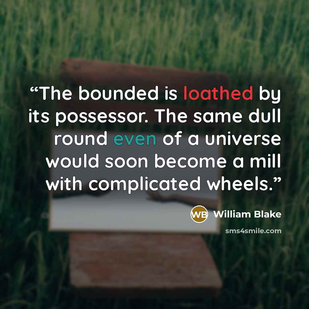 “The bounded is loathed by its possessor. The same dull round even of a universe would soon become a mill with complicated wheels.” quote by William Blake