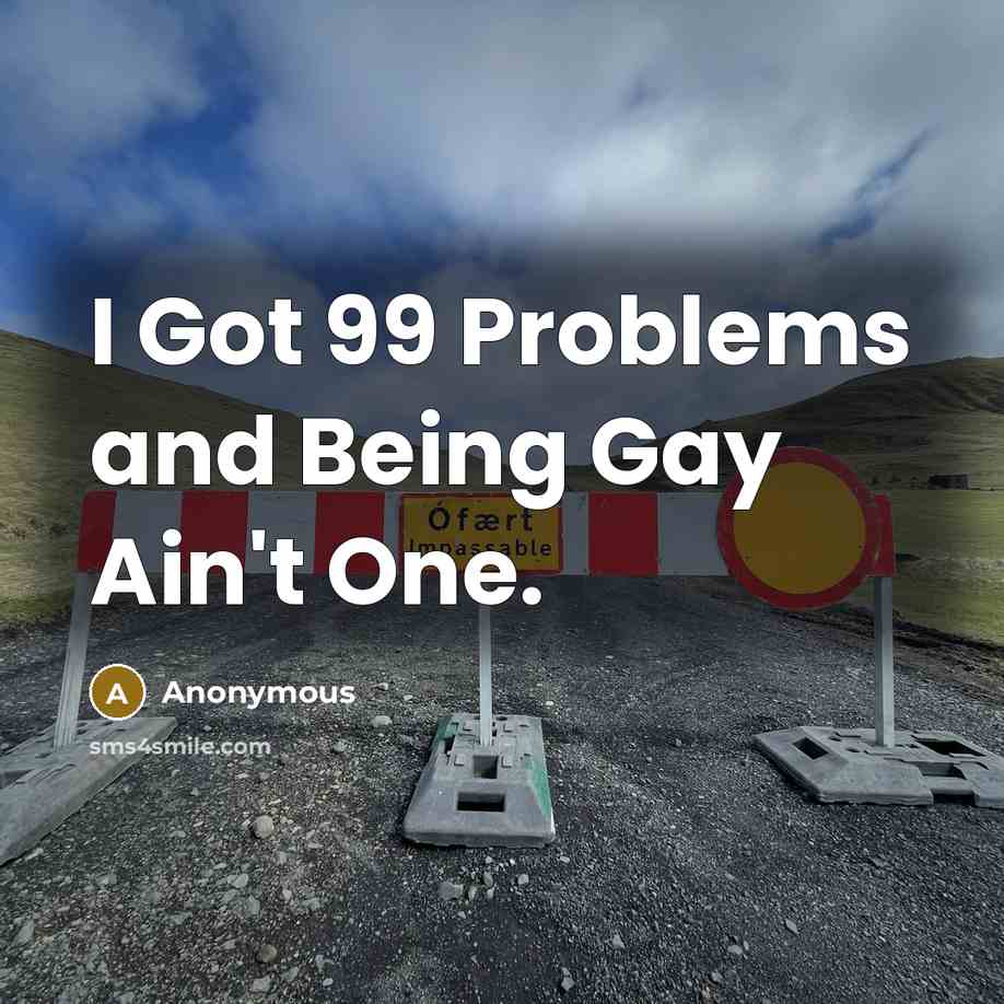 “I Got 99 Problems and Being Gay Ain't One.” quote by Anonymous