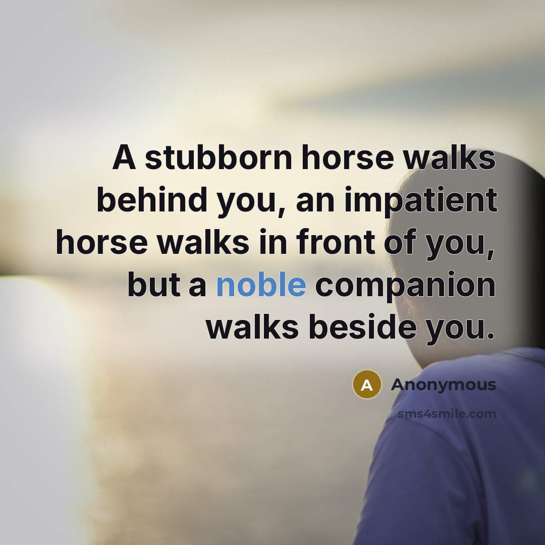 “A stubborn horse walks behind you, an impatient horse walks…” quote by Anonymous