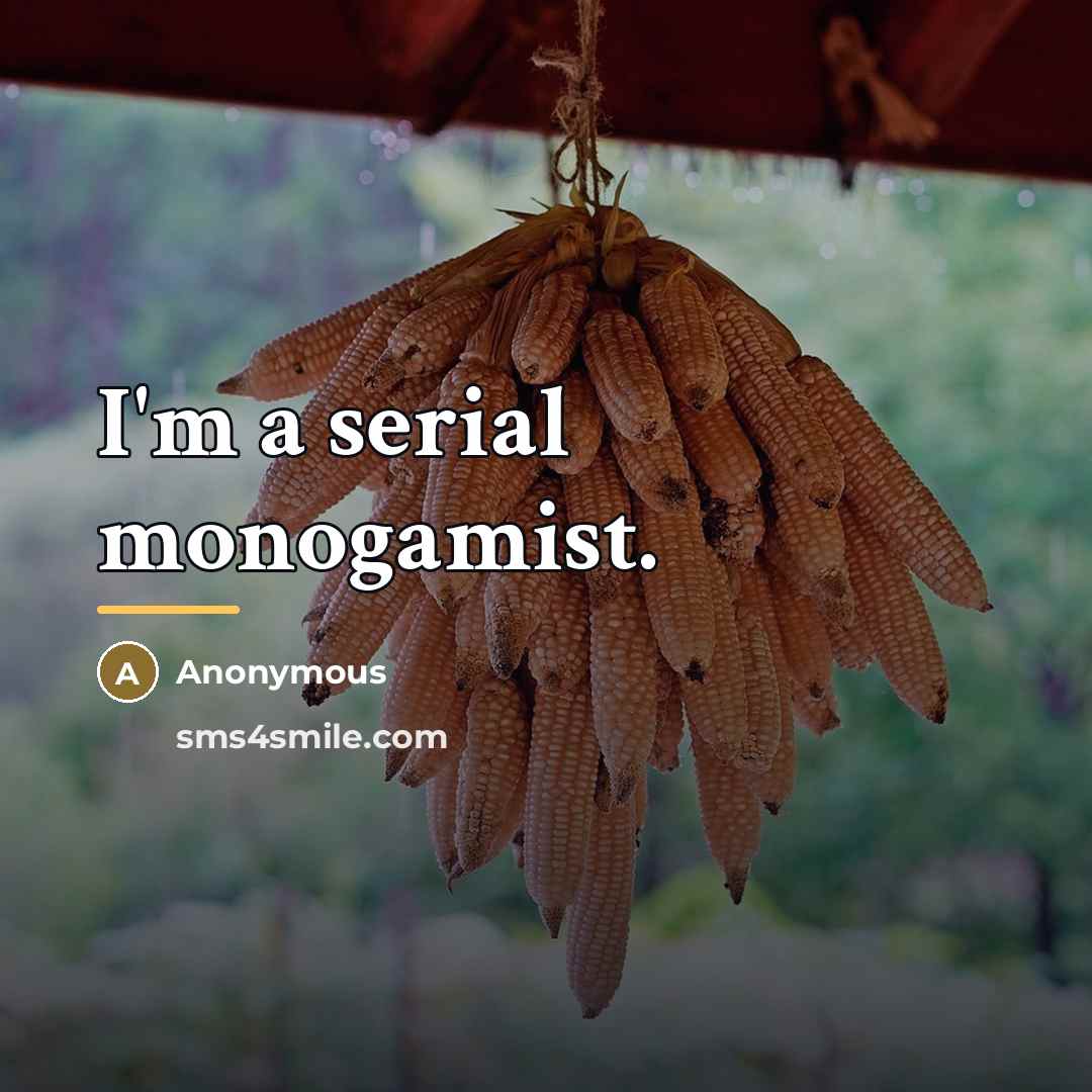 “I'm a serial monogamist.…” quote by Anonymous