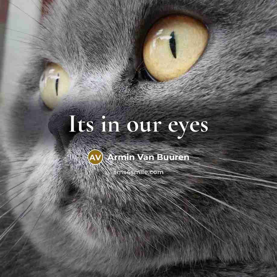 “Its in our eyes” quote by Armin Van Buuren