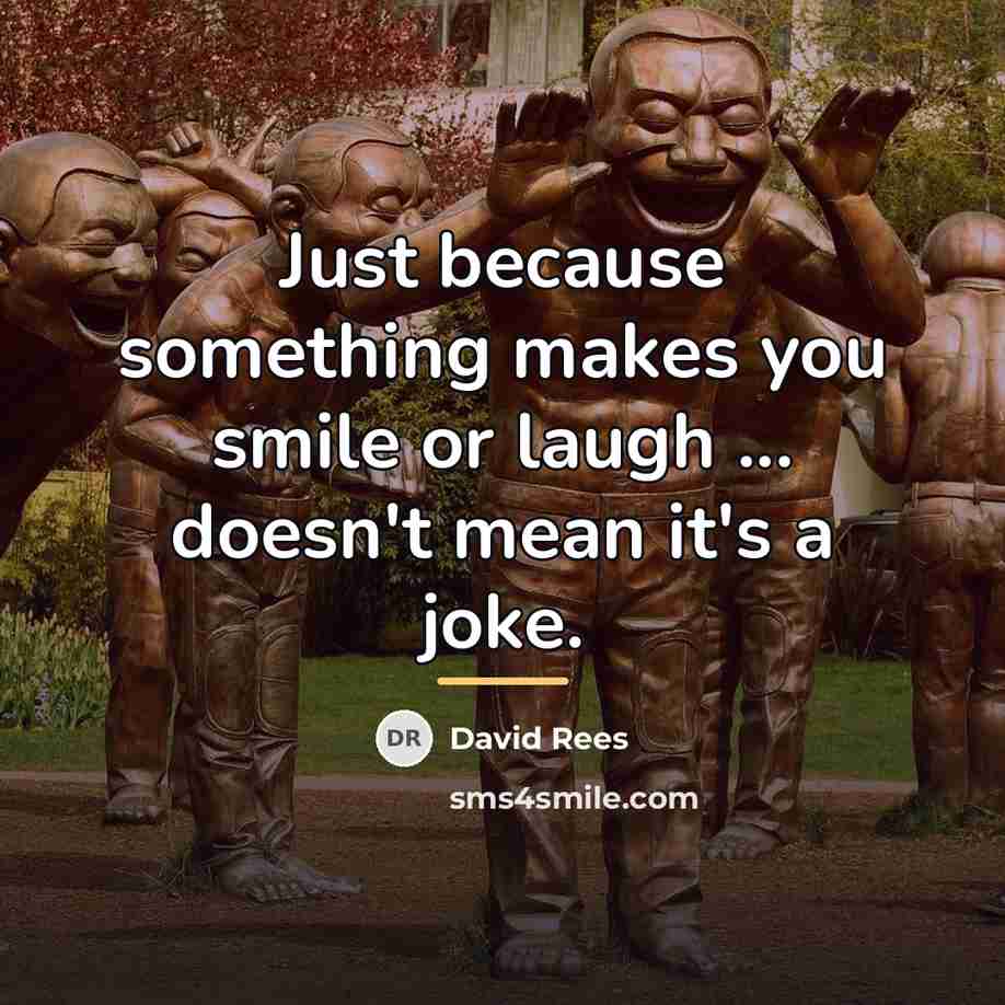“Just because something makes you smile or laugh ... doesn't…” quote by David Rees