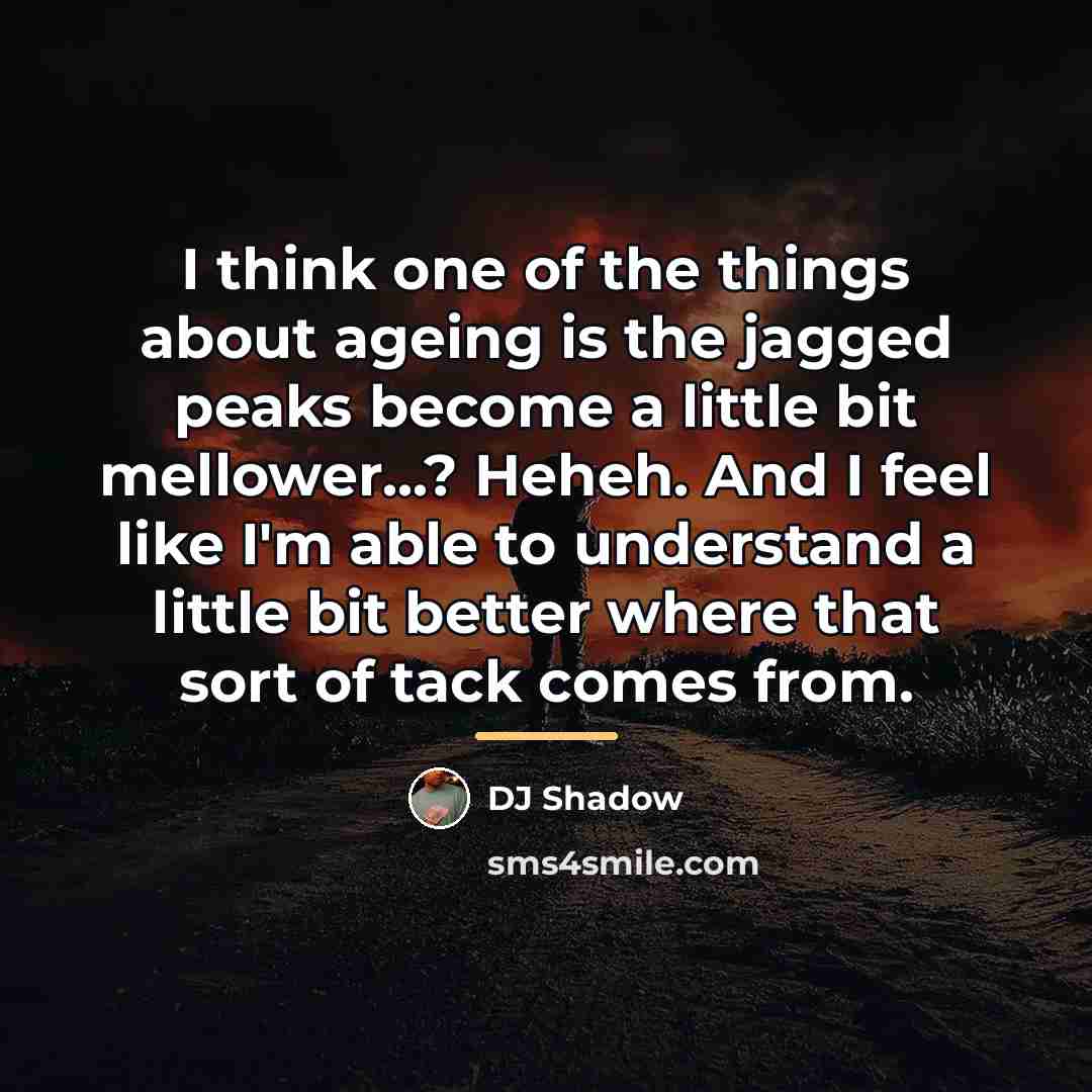 “I think one of the things about ageing is the…” quote by DJ Shadow