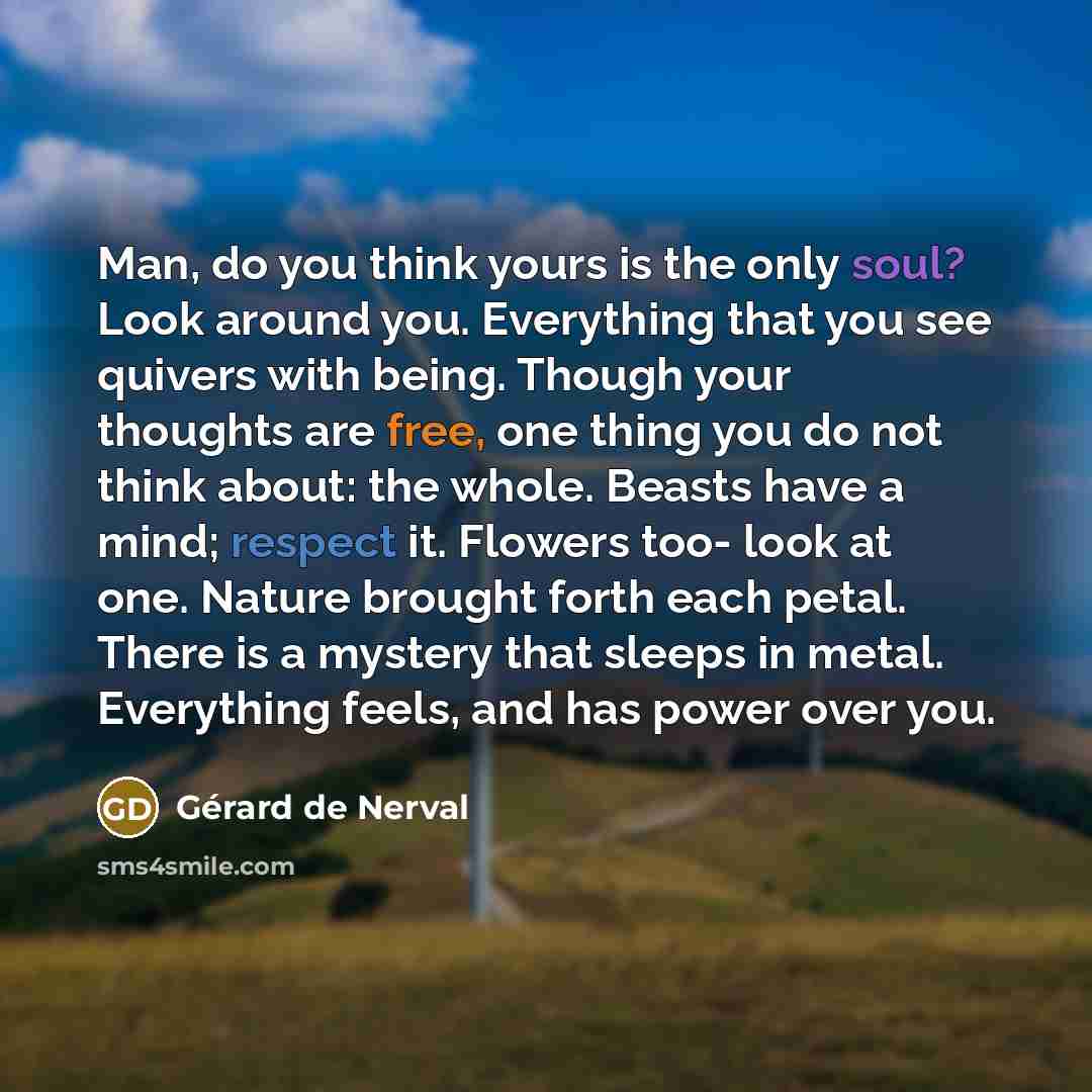 “Man, do you think yours is the only soul? Look…” quote by Gerard De Nerval