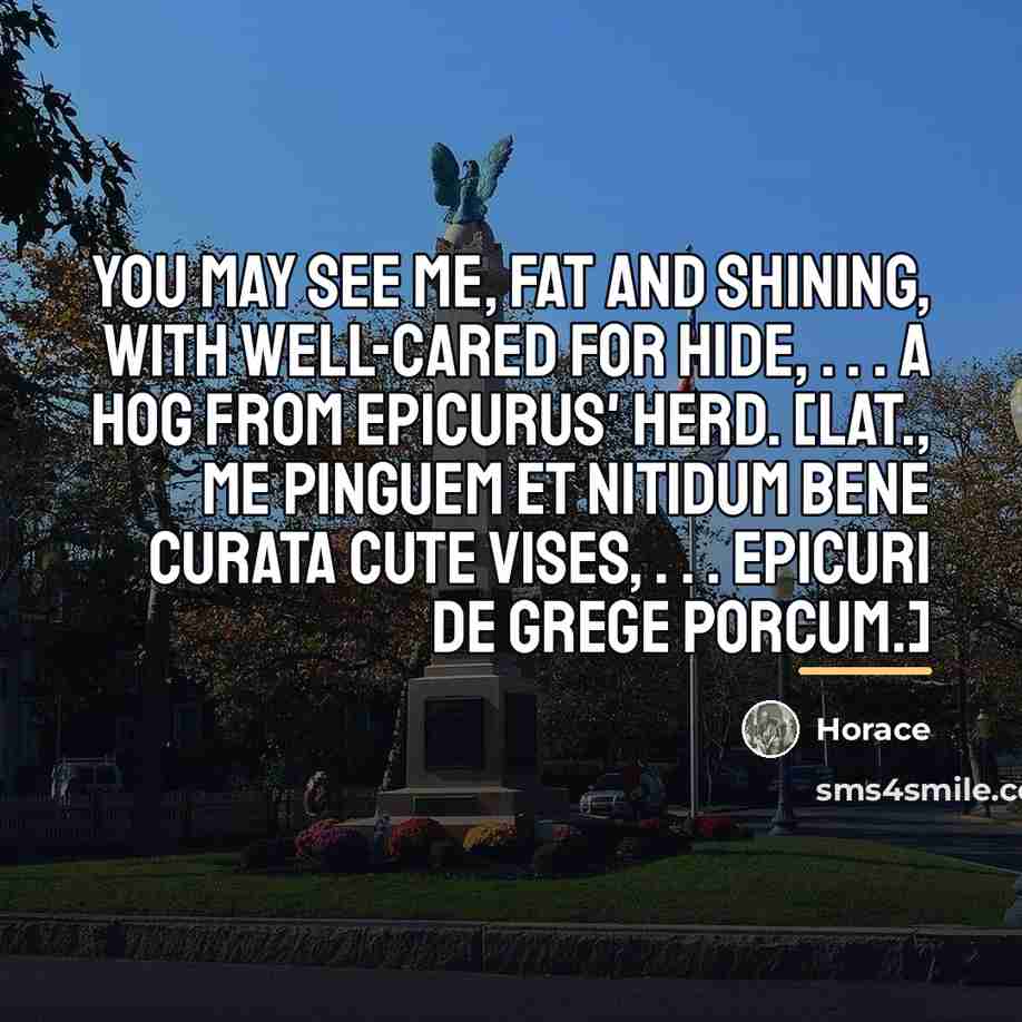 “You may see me, fat and shining, with well-cared for…” quote by Horace