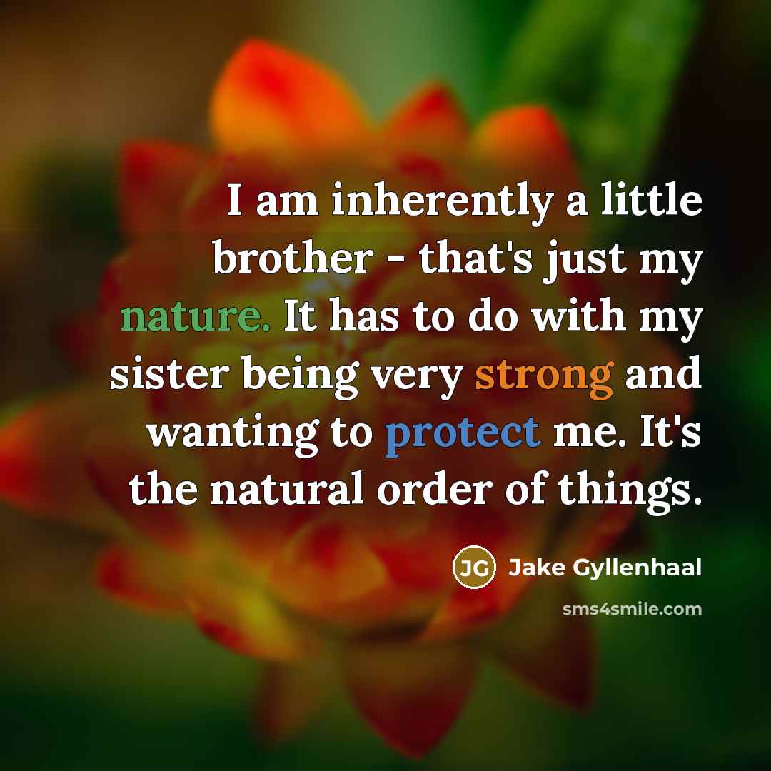 “I am inherently a little brother - that's just my…” quote by Jake Gyllenhaal