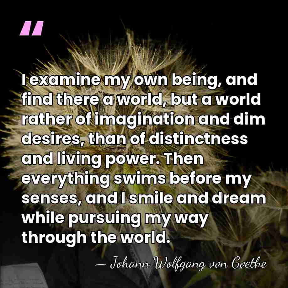 I examine my own being, and find there a world, but a&hellip; - Johann Wolfgang von Goethe