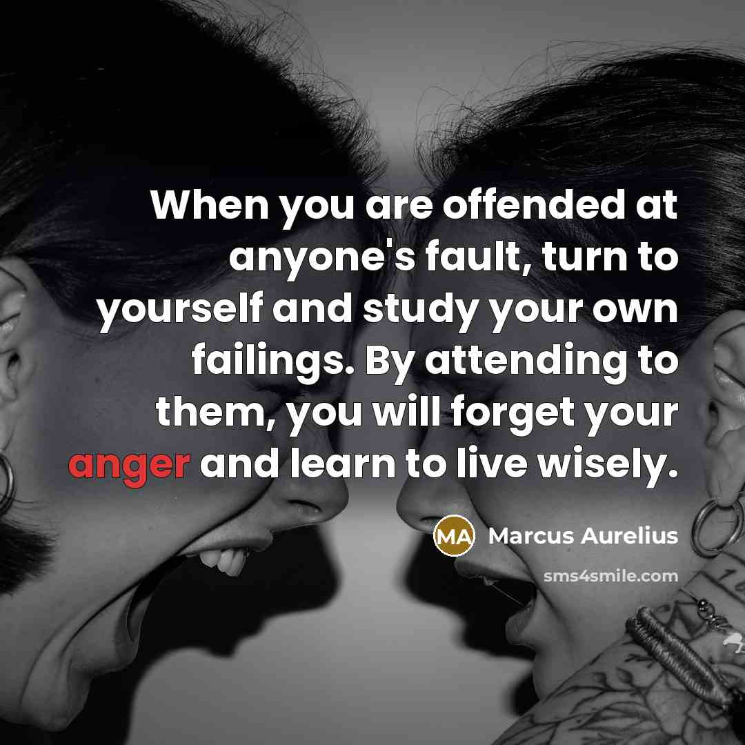“When you are offended at anyone's fault, turn to yourself…” quote by Marcus Aurelius