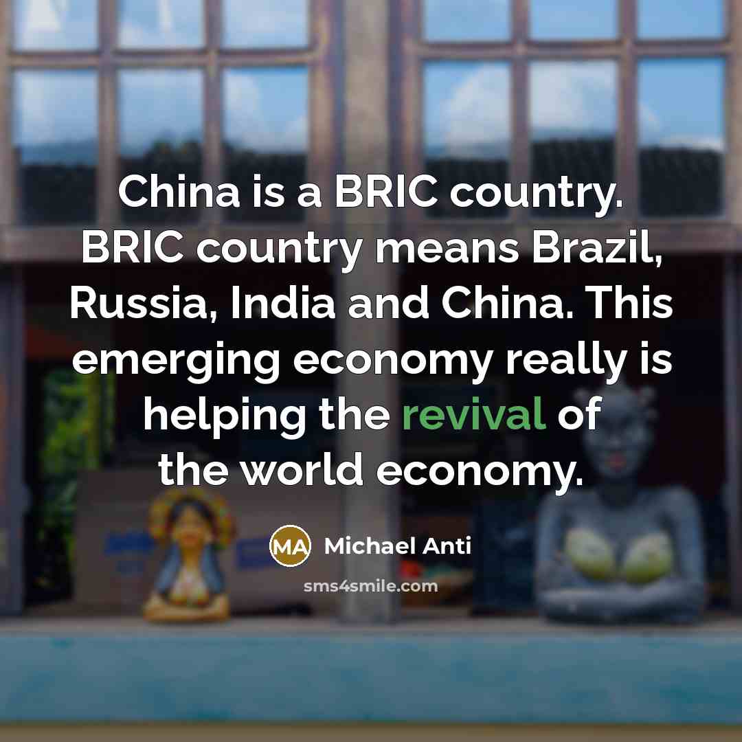 “China is a BRIC country. BRIC country means Brazil, Russia,…” quote by Michael Anti