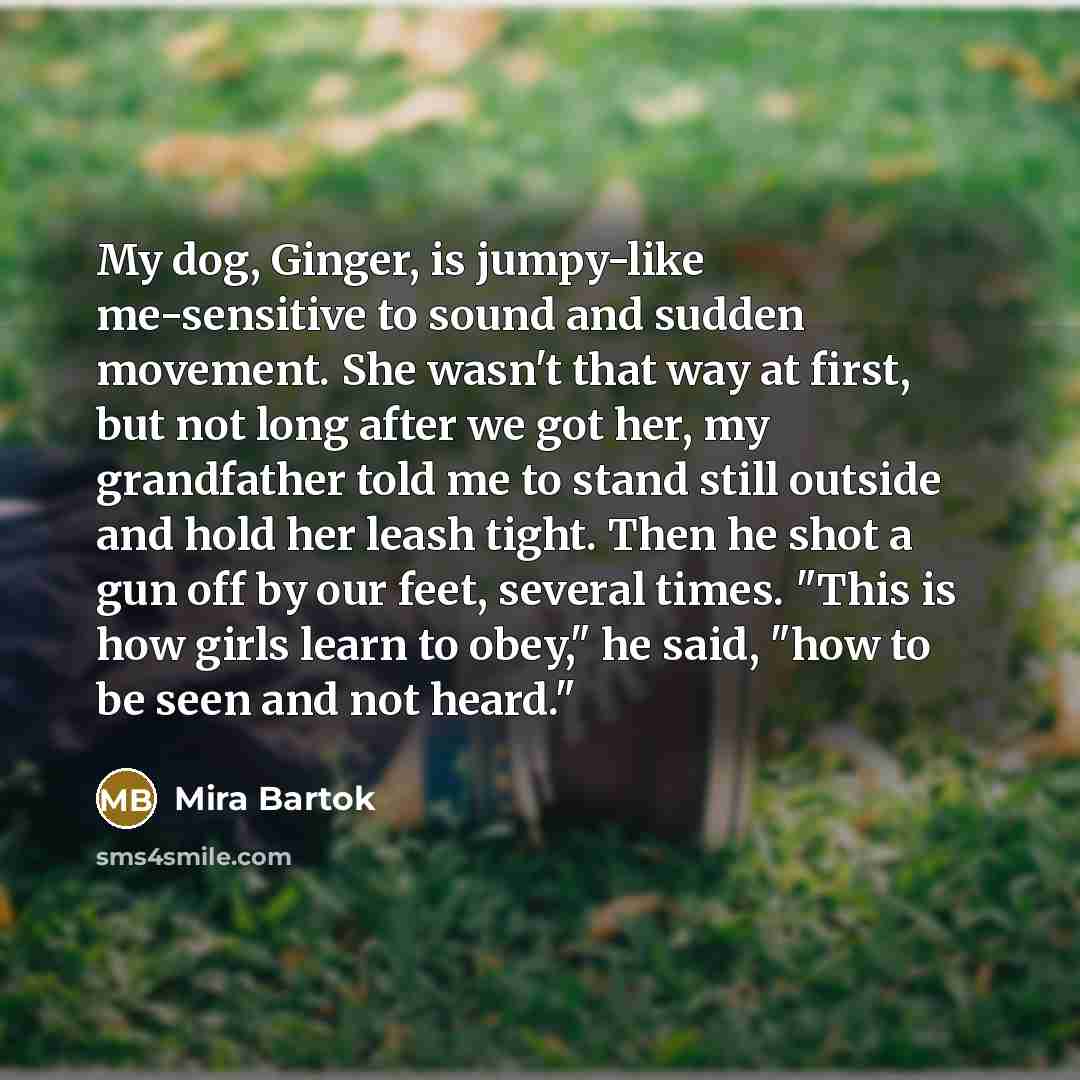“My dog, Ginger, is jumpy-like me-sensitive to sound and sudden…” quote by Mira Bartok