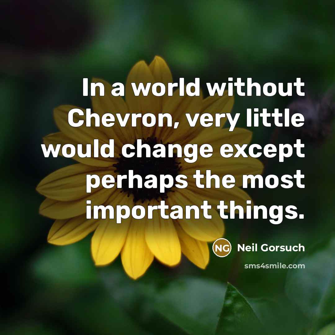 “In a world without Chevron, very little would change except…” quote by Neil Gorsuch