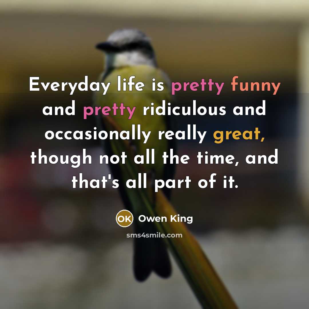 “Everyday life is pretty funny and pretty ridiculous and occasionally really great, though not all the time, and that's all part of it.” quote by Owen King