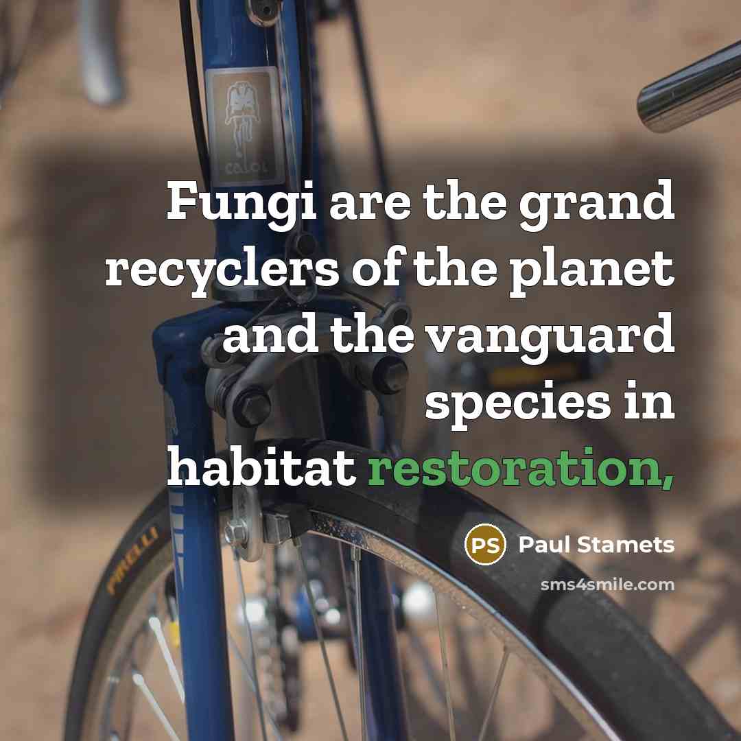 “Fungi are the grand recyclers of the planet and the…” quote by Paul Stamets