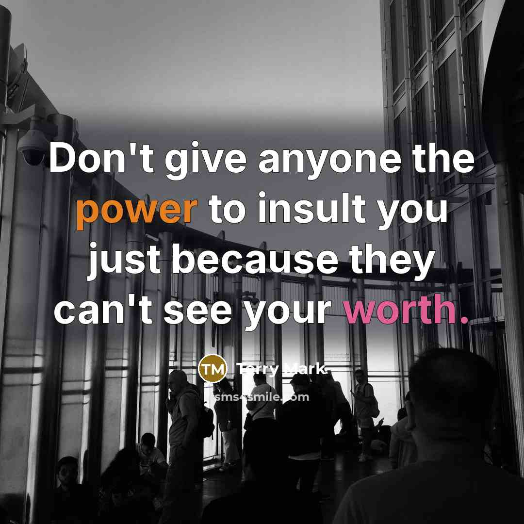 “Don't give anyone the power to insult you just because…” quote by Terry Mark