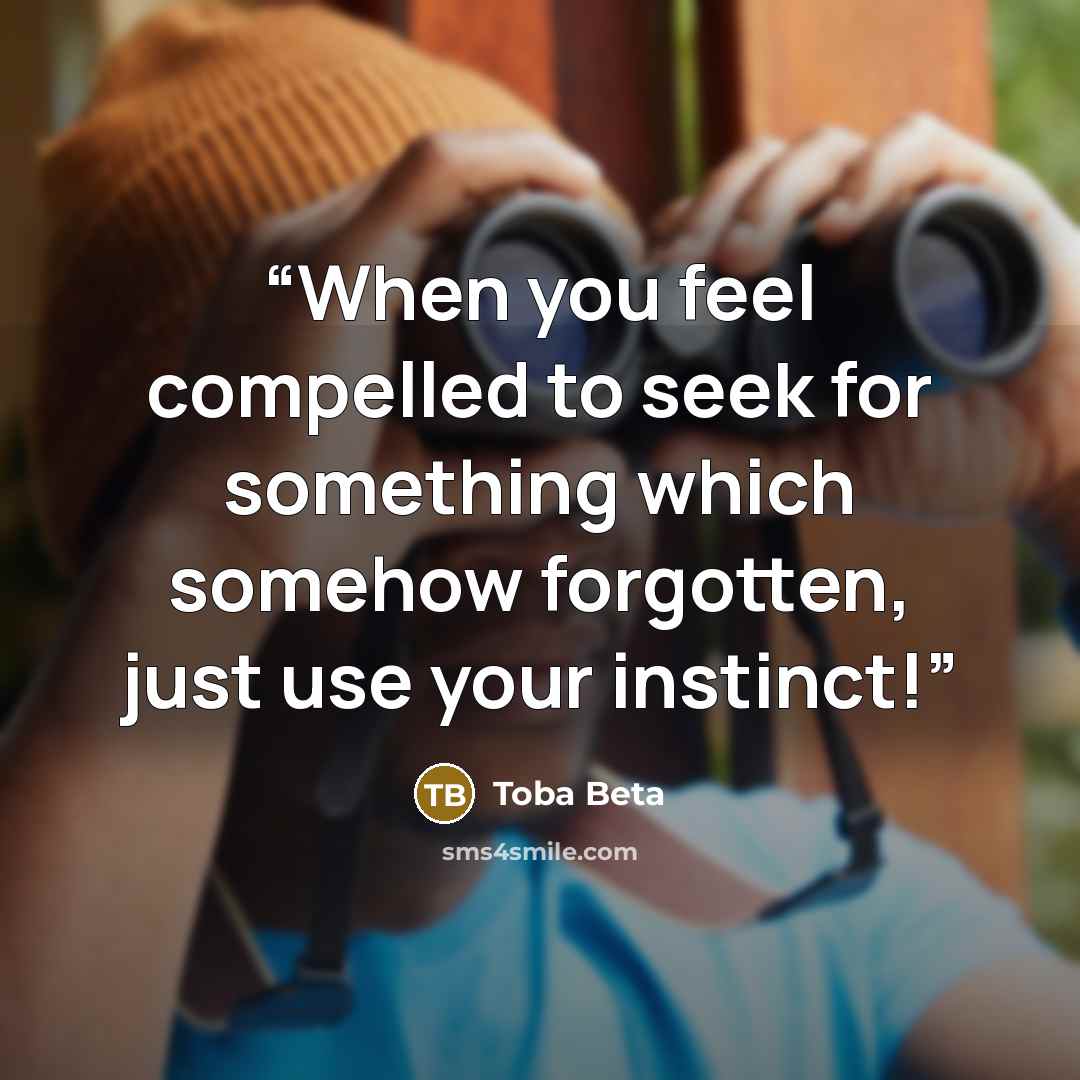 “When you feel compelled to seek for something which somehow forgotten, just use your instinct!” quote by Toba Beta