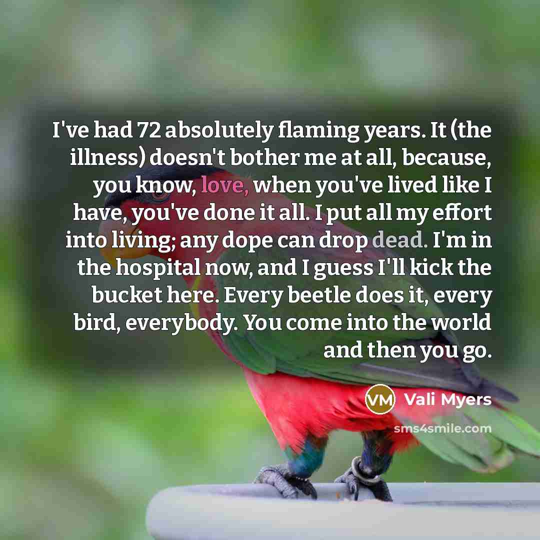 “I've had 72 absolutely flaming years. It (the illness) doesn't…” quote by Vali Myers