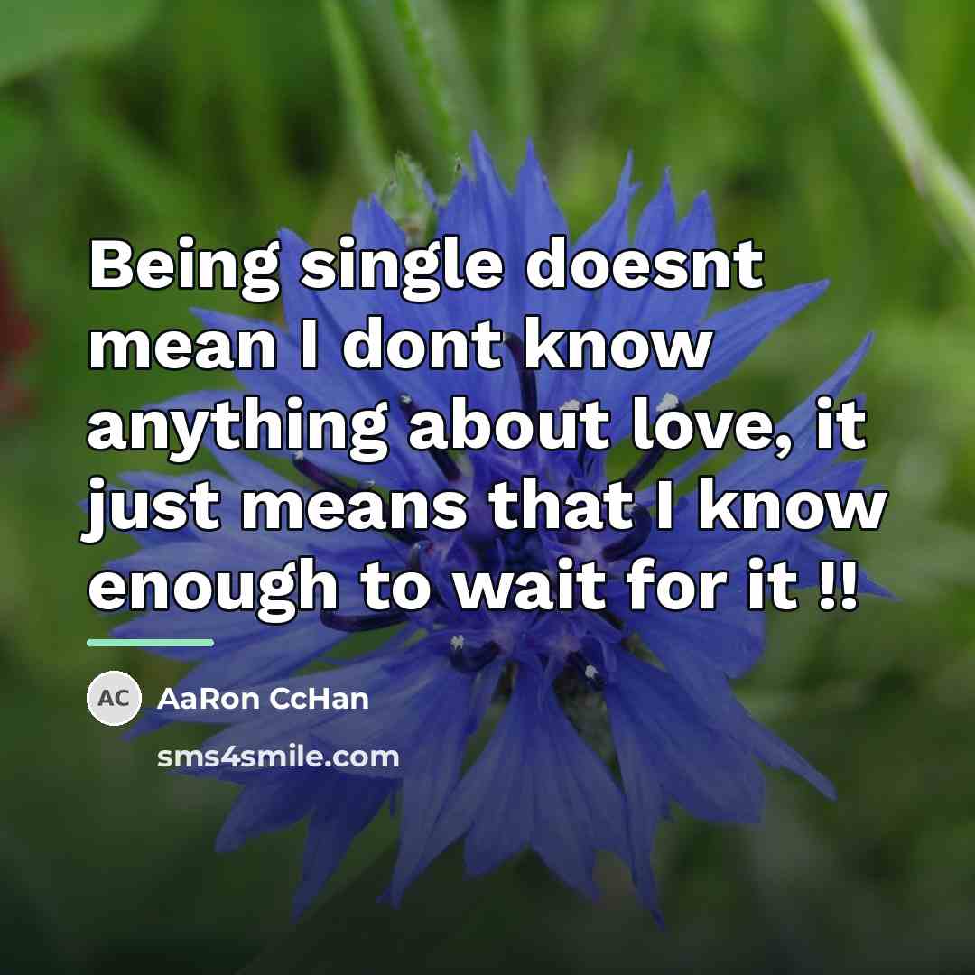 “Being single doesnt mean I dont know anything about love,…” quote by AaRon CcHan