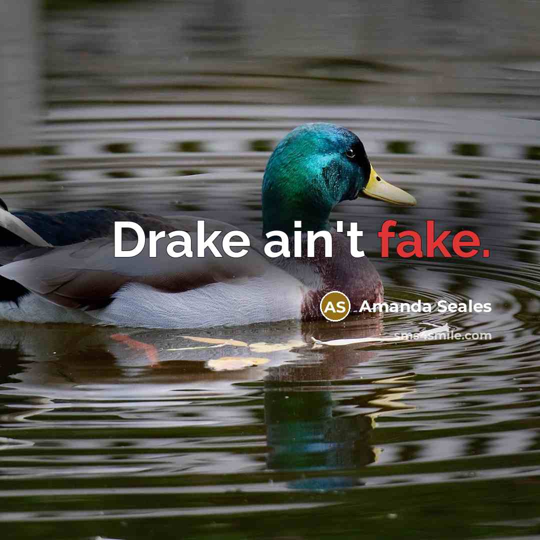 “Drake ain't fake.…” quote by Amanda Seales