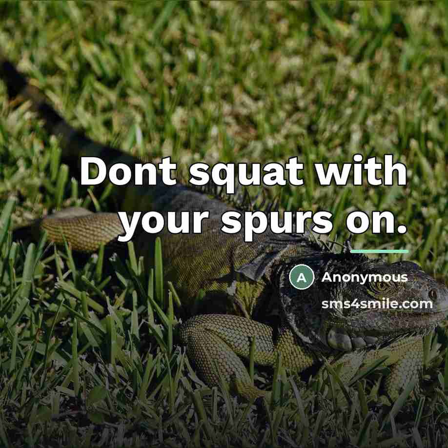 “Dont squat with your spurs on.…” quote by Anonymous