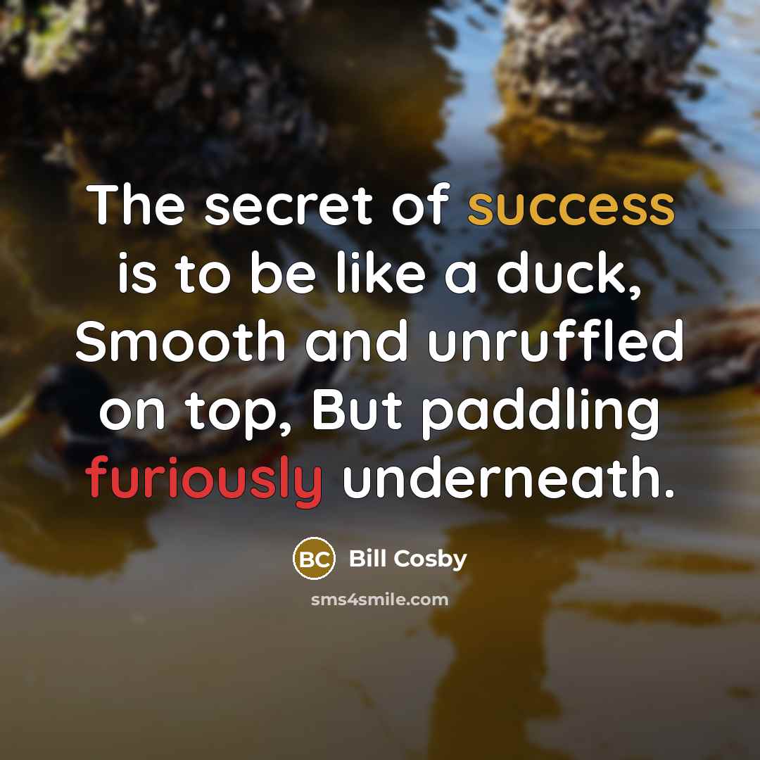 “The secret of success is to be like a duck,…” quote by Bill Cosby