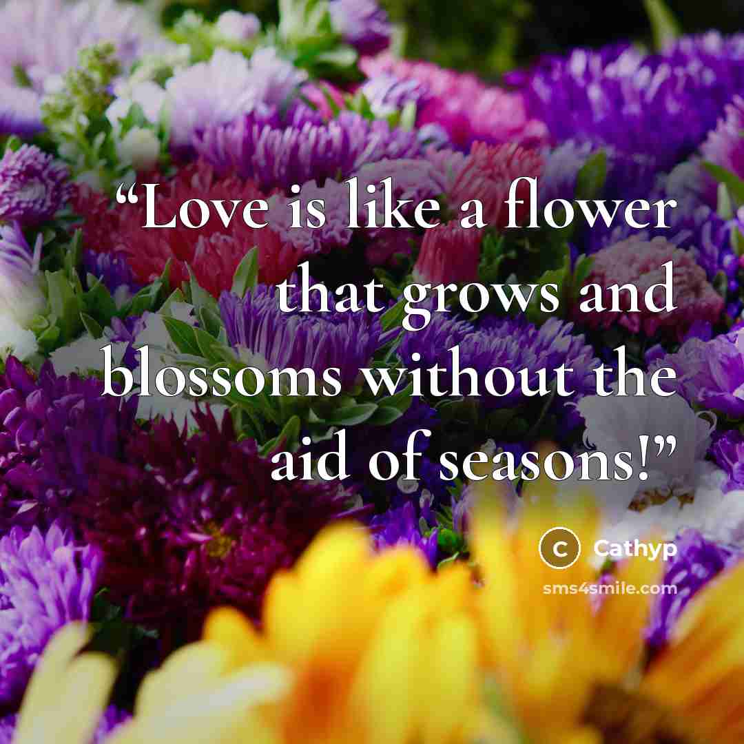 “Love is like a flower that grows and blossoms without the aid of seasons!” quote by Cathyp