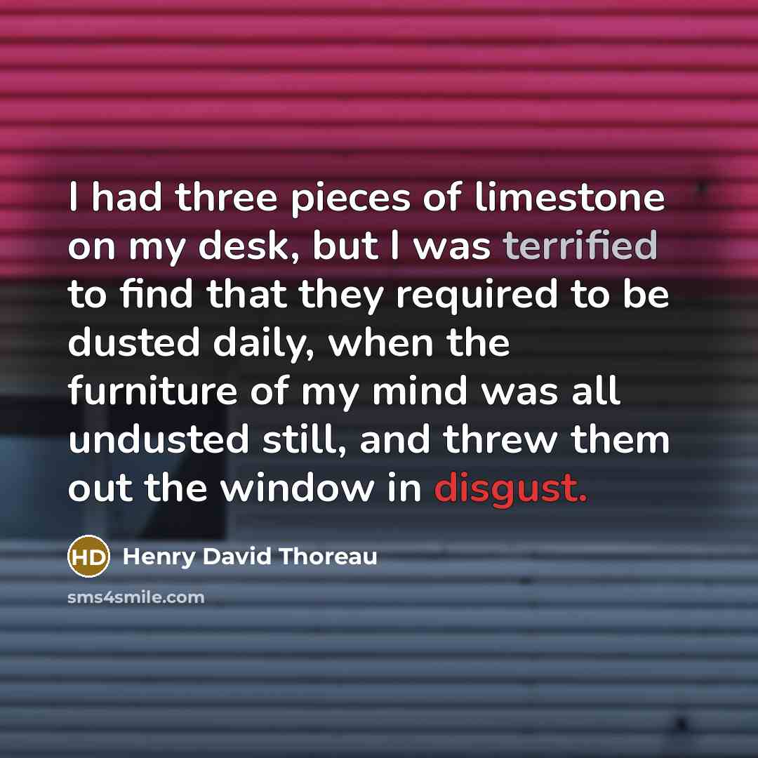“I had three pieces of limestone on my desk, but…” quote by Henry David Thoreau