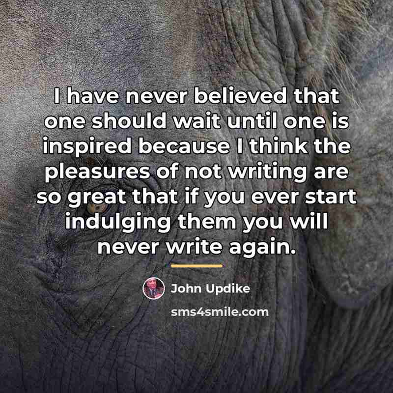 “I have never believed that one should wait until one…” quote by John Updike