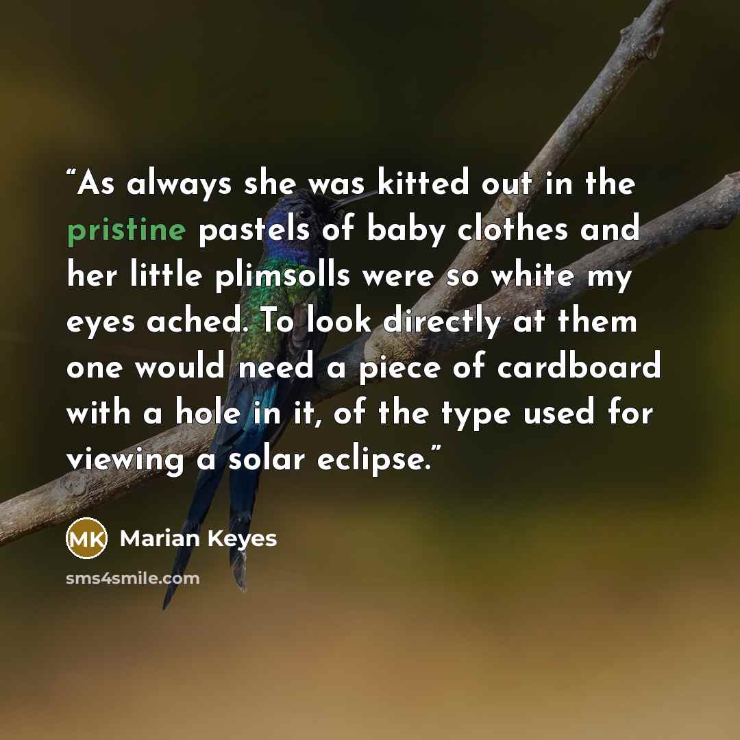 “As always she was kitted out in the pristine pastels of baby clothes and her little plimsolls were so white my eyes ached. To look directly at them one would need a piece of cardboard with a hole in it, of the type used for viewing a solar eclipse.” quote by Marian Keyes