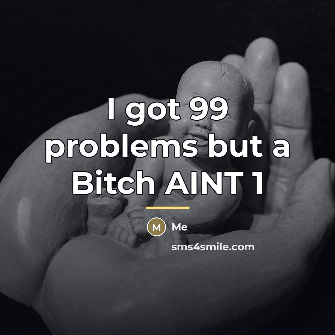 “I got 99 problems but a Bitch AINT 1…” quote by Me