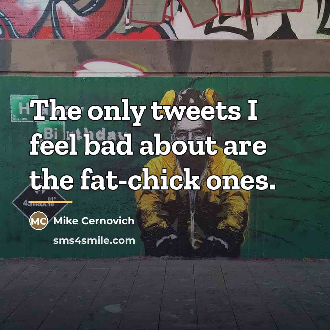 “The only tweets I feel bad about are the fat-chick…” quote by Mike Cernovich