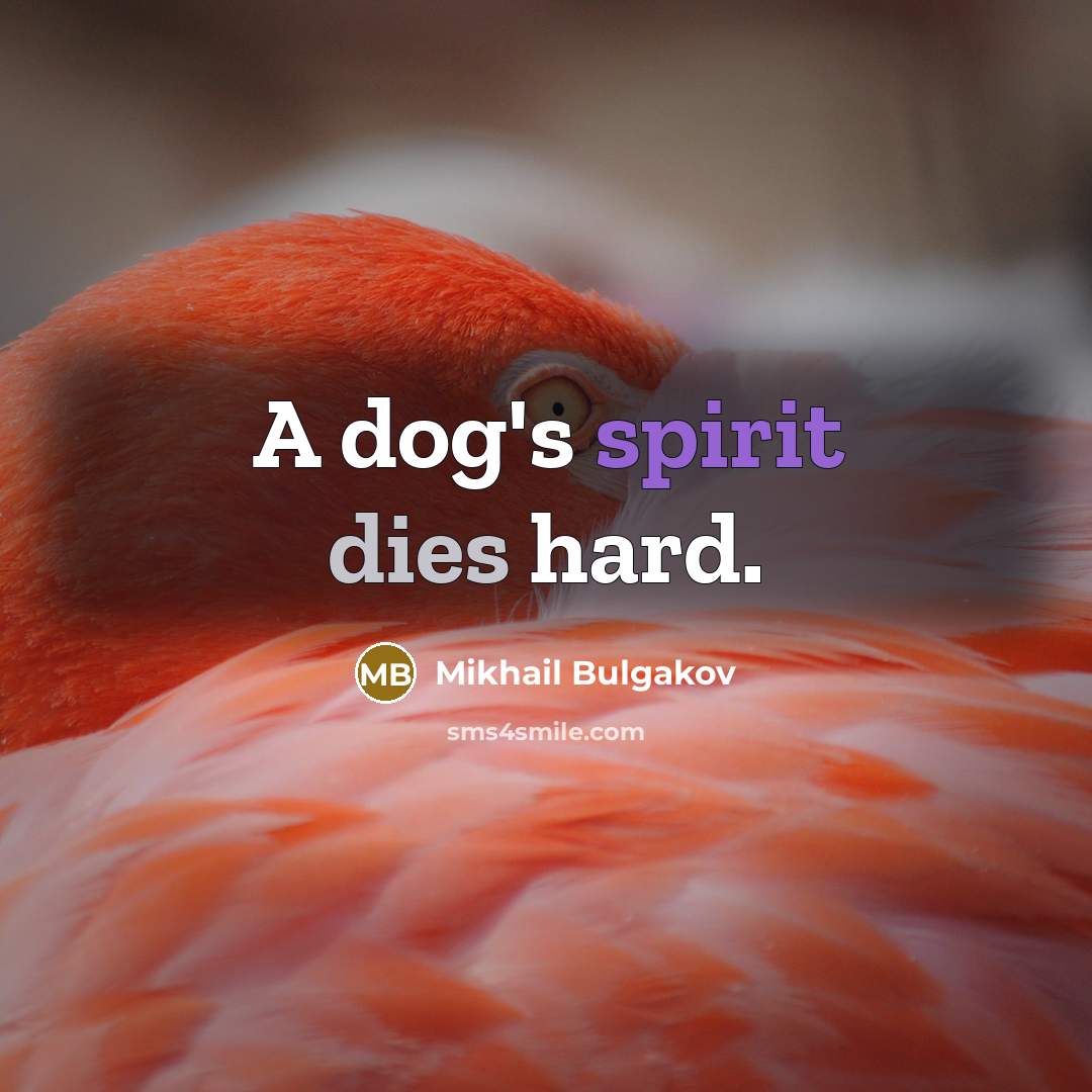 “A dog's spirit dies hard.” quote by Mikhail Bulgakov