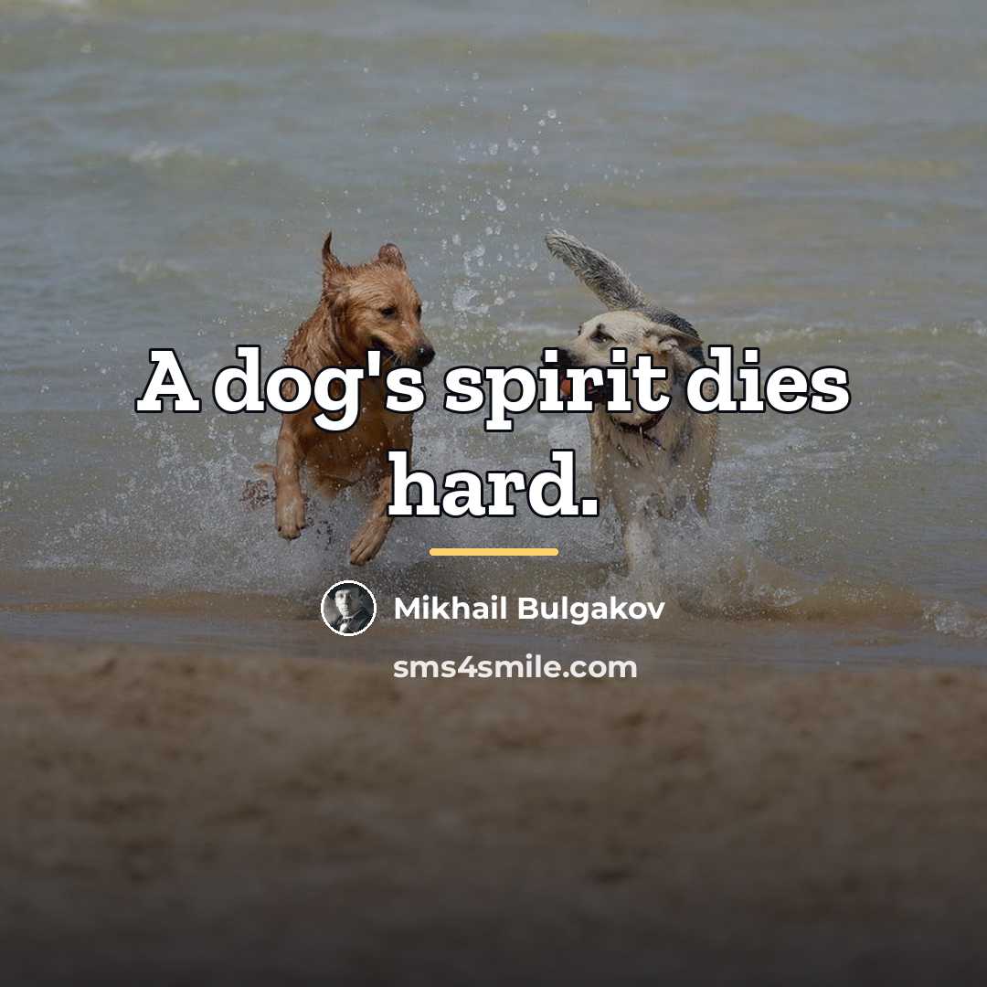 “A dog's spirit dies hard.…” quote by Mikhail Bulgakov