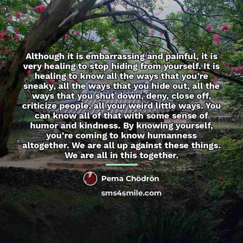 “Although it is embarrassing and painful, it is very healing…” quote by Pema Chodron