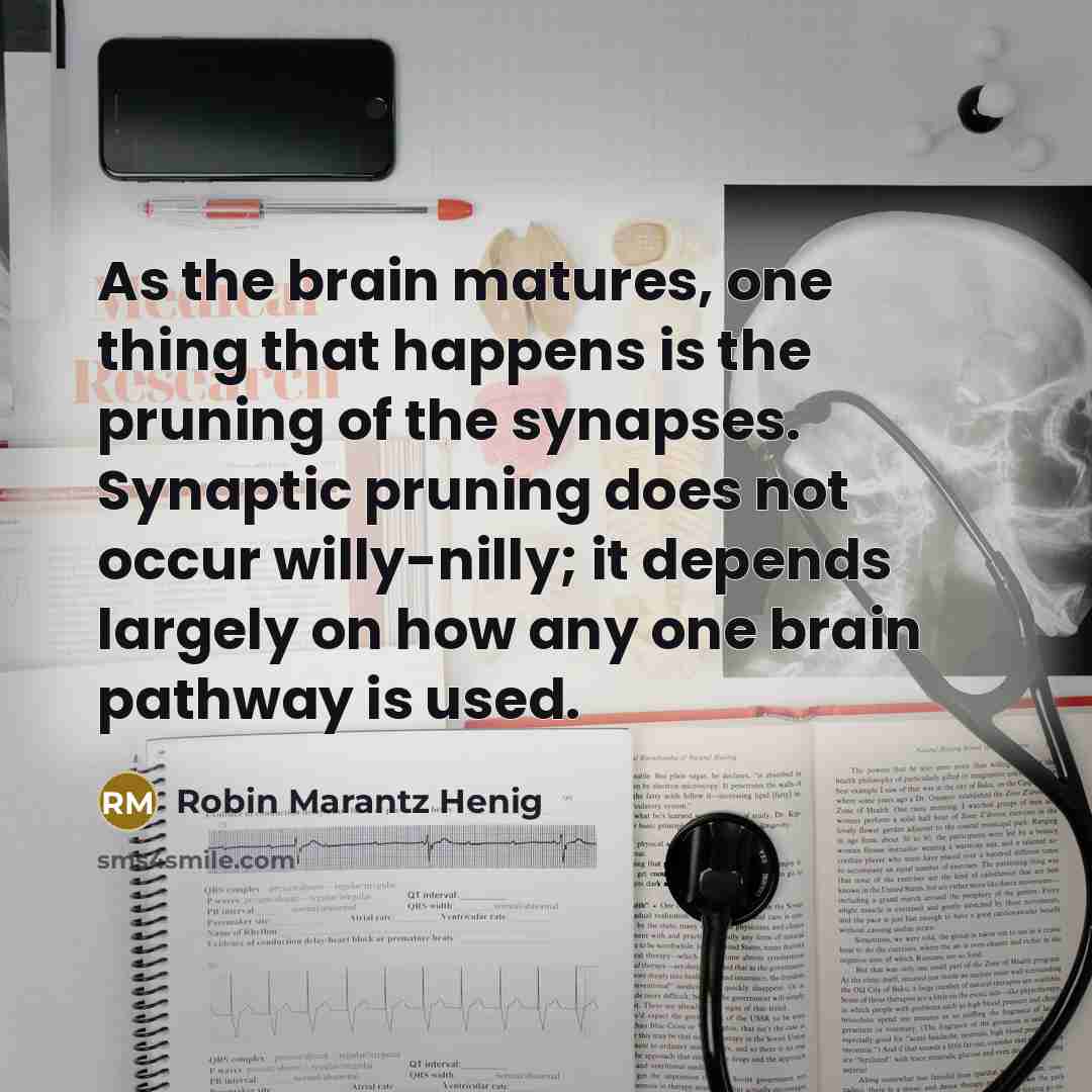 “As the brain matures, one thing that happens is the…” quote by Robin Marantz Henig