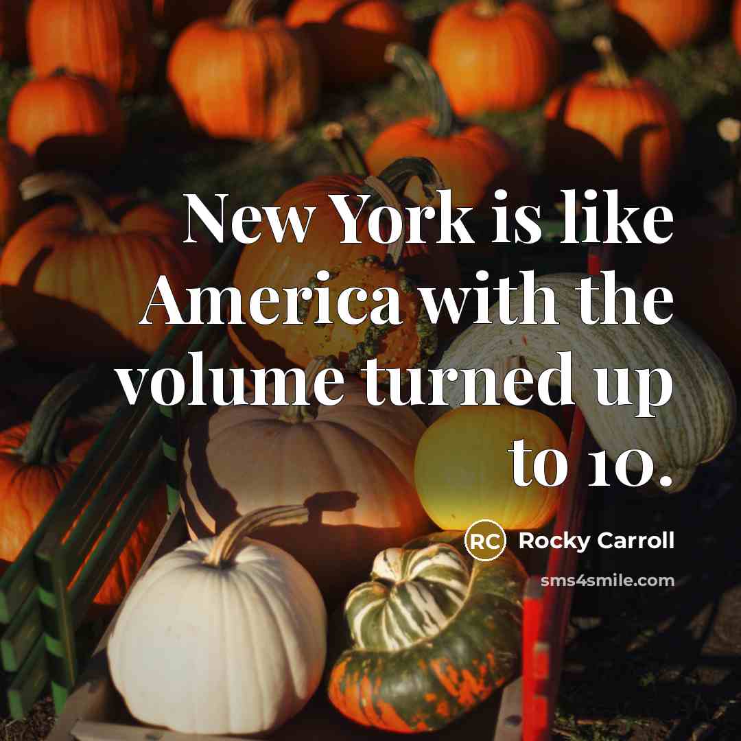 “New York is like America with the volume turned up…” quote by Rocky Carroll