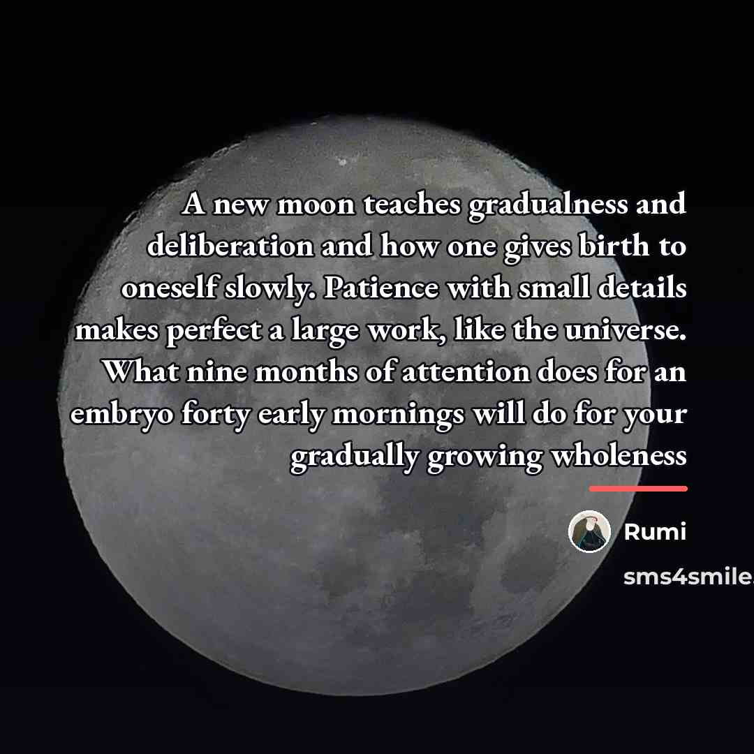 “A new moon teaches gradualness and deliberation and how one…” quote by Rumi