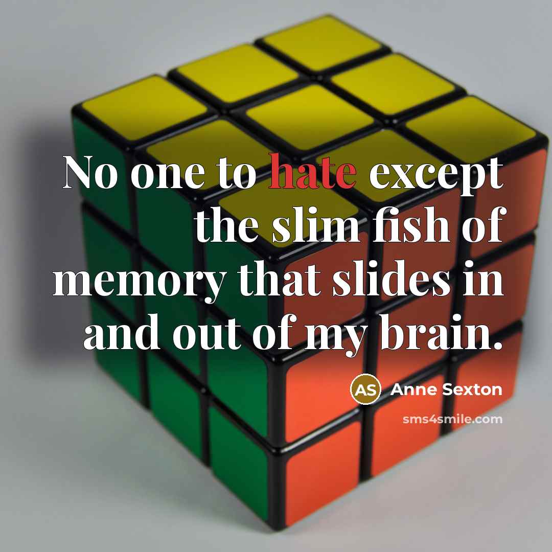 “No one to hate except the slim fish of memory…” quote by Anne Sexton
