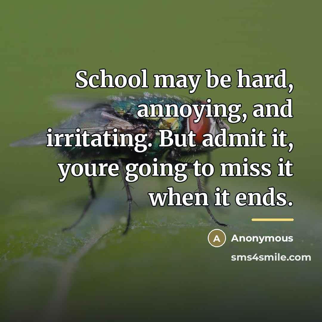 “School may be hard, annoying, and irritating. But admit it,…” quote by Anonymous