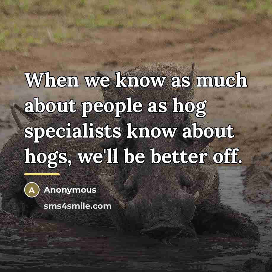 “When we know as much about people as hog specialists…” quote by Anonymous
